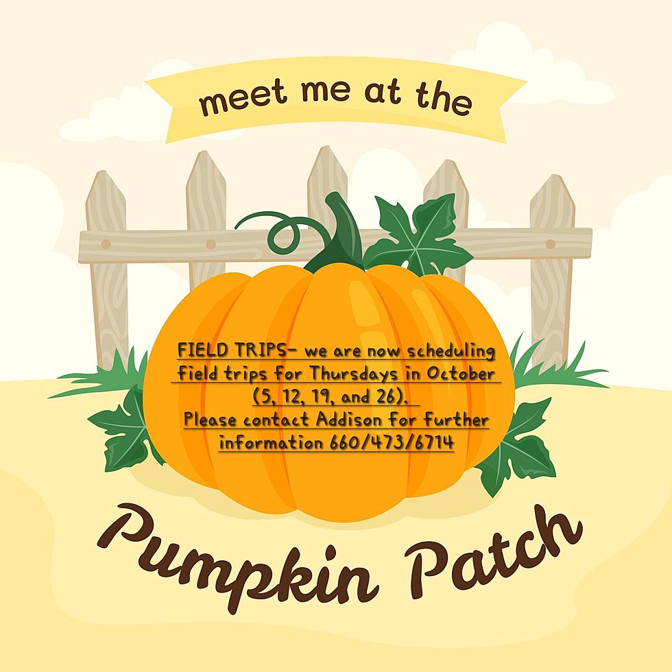 Big Bear Pumpkin Patch Ready For Visitors
