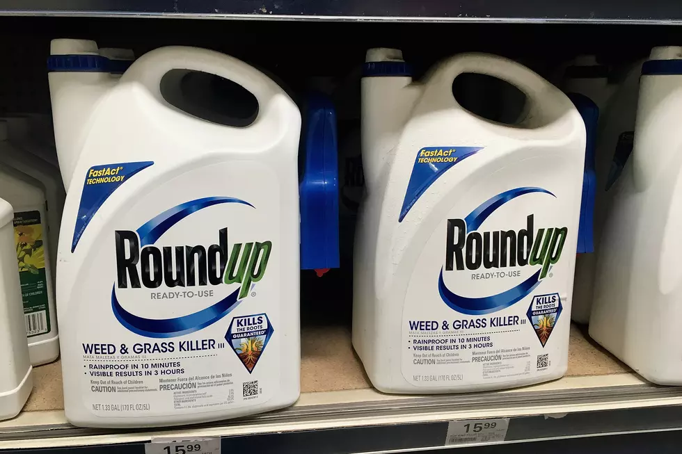 Missouri House Backs Legal Shield For Weedkiller Maker Facing Thousands of Cancer-related Lawsuits