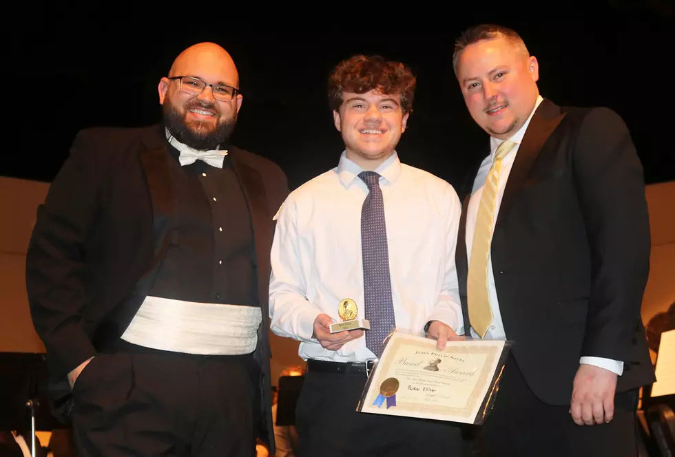 Three S-C musicians earn top honors