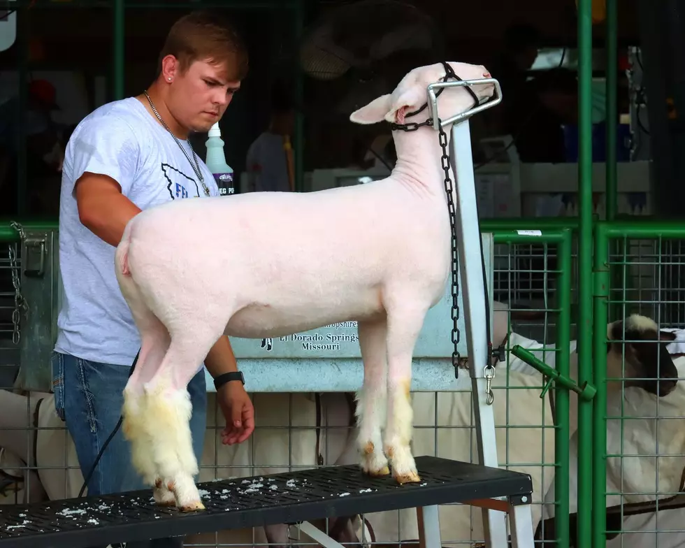 Entry Deadlines Approaching for 2024 Missouri State Fair Exhibitors