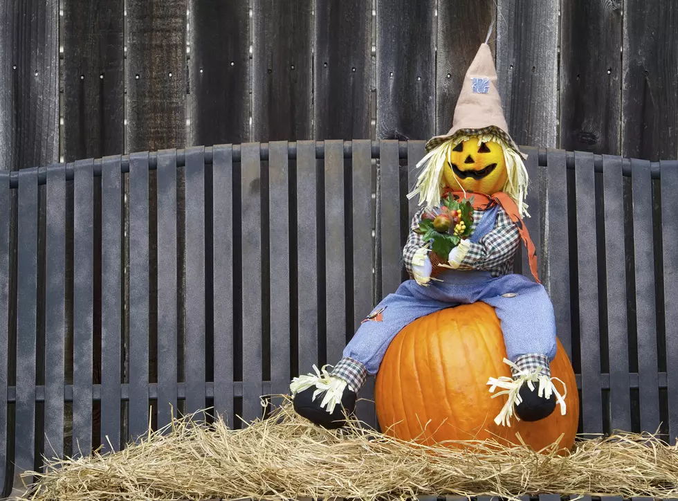 Sedalia Main Streets Announces Scarecrow Contest