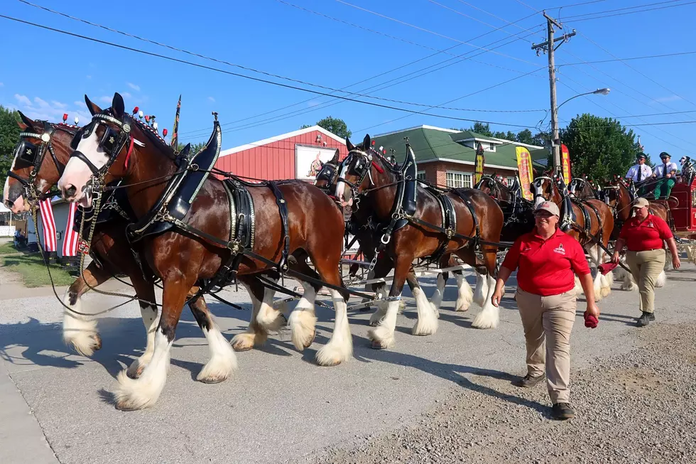 2026 ‘Show Me Stars & Stripes’ Mo State Fair Under Way