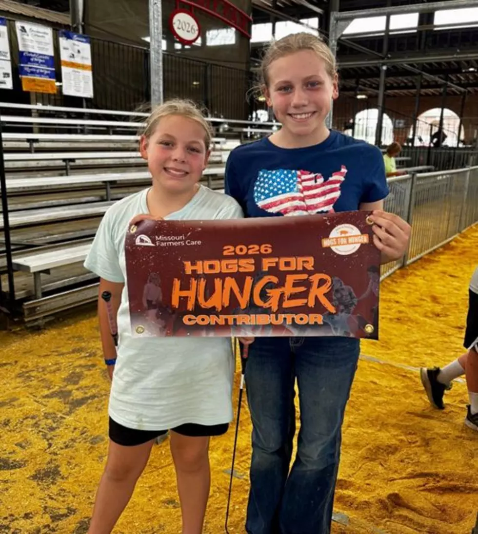 Mo State Fair