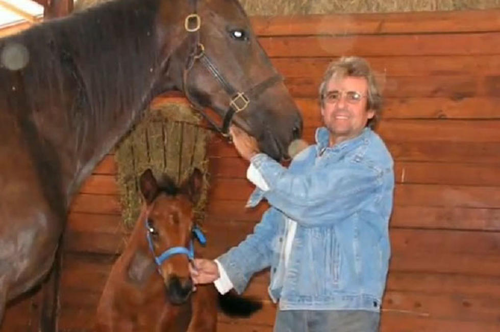 Davy Jones’ Daughters Fight to Care for His Horses