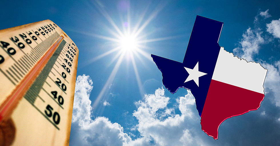 8 Common Problems Caused by Texas’ Extreme Dry Weather
