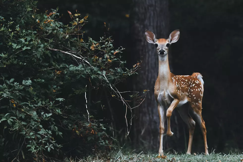 Photo by Scott Carroll on Unsplash
