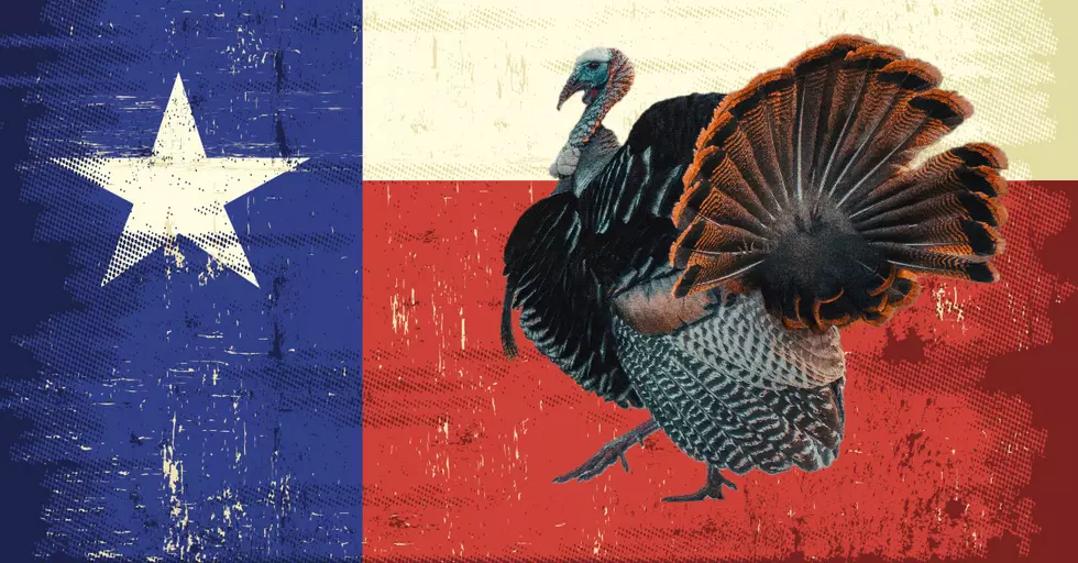 Why Thanksgiving is Better in Texas Than Anywhere Else