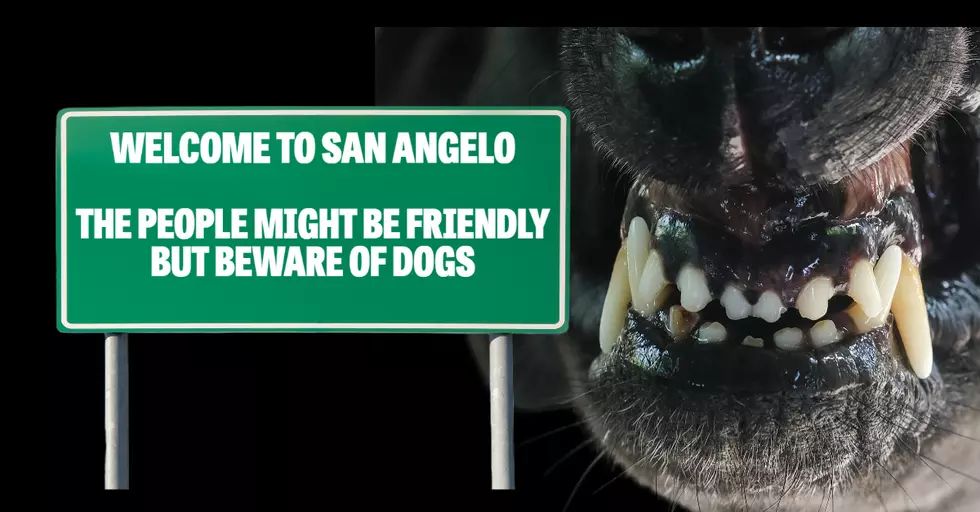 San Angelo Has A Vicious Dog Problem