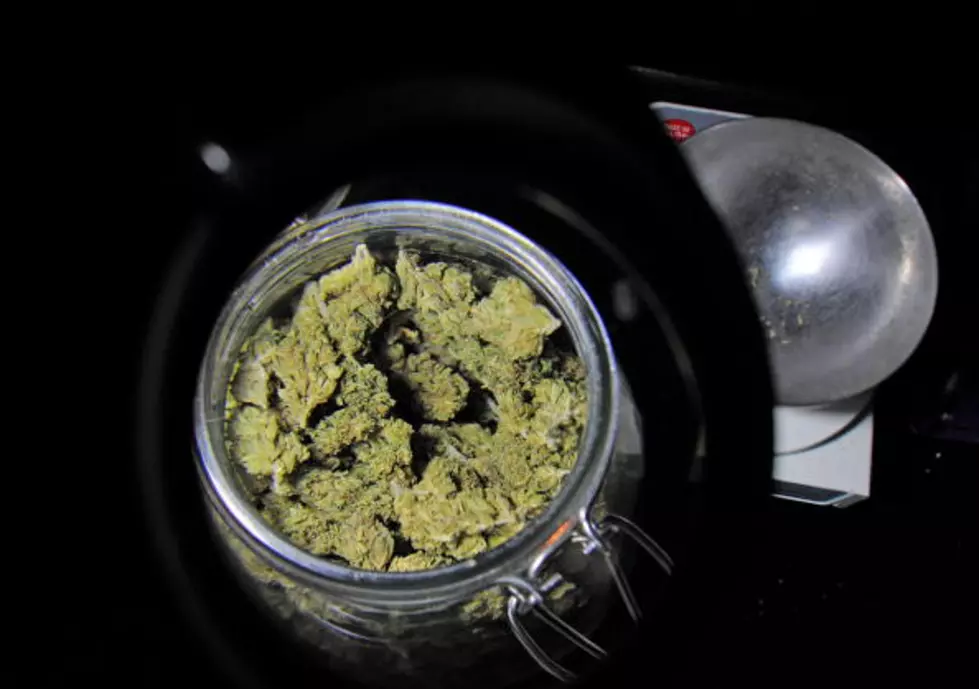 Saginaw Drug Bust Nets 500 Pounds Of Marijuana