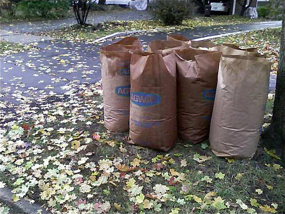 Last Week for Leaf, Yard Waste Collection in Flint