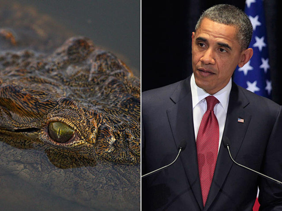 Obama Seems to Think Crocodile Attacks Are a Legit Hazard in Australia