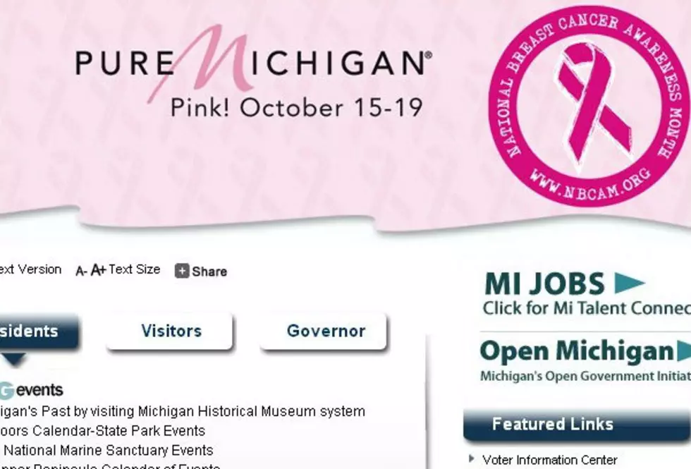 State Websites, Social Media Sites ‘Go Pink’ to Recognize Breast Cancer