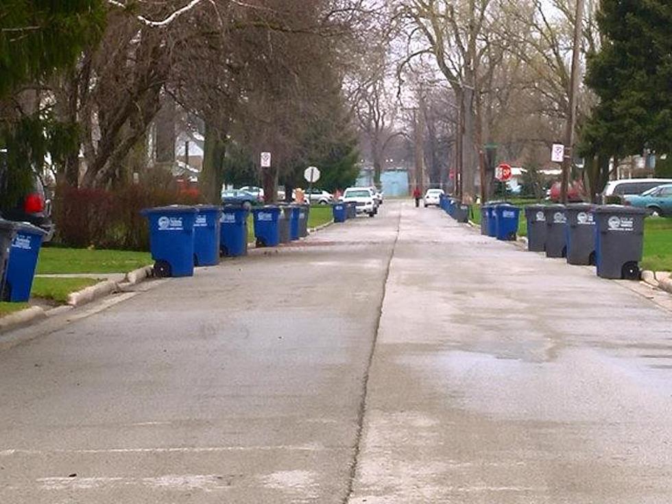 City of Flint Reminds Residents to “BAG IT!” for Leaf Collection this Year