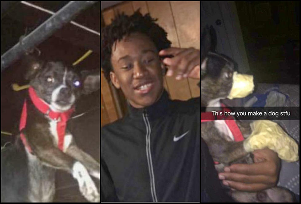 Petition Started To Punish Michigan Teen Who Abused Dog