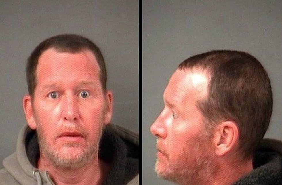 Michigan Man Arrested After Cops Find More Than 200 Marijuana Plants During Traffic Stop