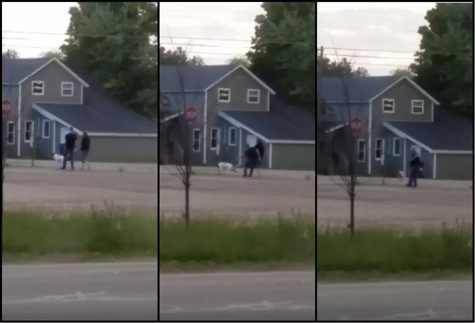 Video Of Michigan Man Aggressively Pulling On Dog’s Leash Causes Controversy