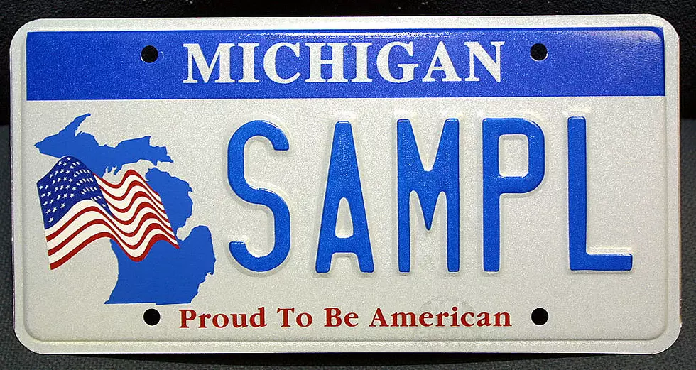 A Reporter Shared Her Unfortunate Michigan License Plate