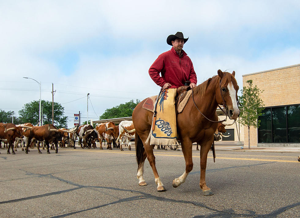 Are Horses a Gas-Saving Alternative on the Streets of San Angelo, Texas?