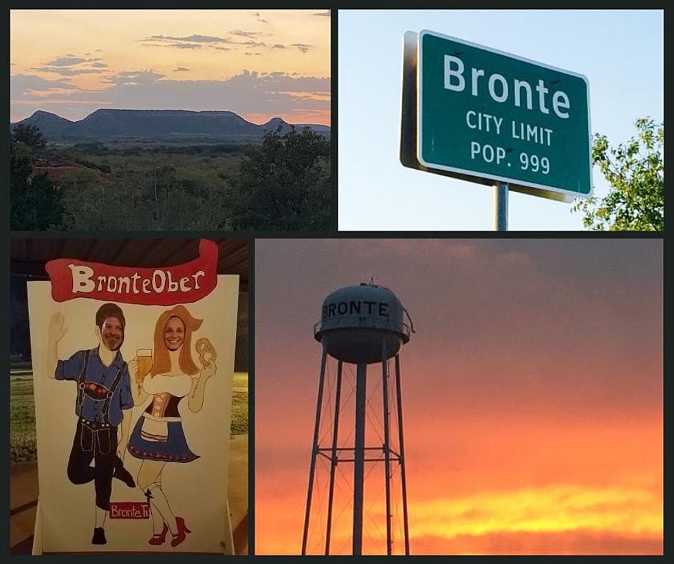Concert, Cook-off & Running of the Wieners at Bronteoberfest in West Texas