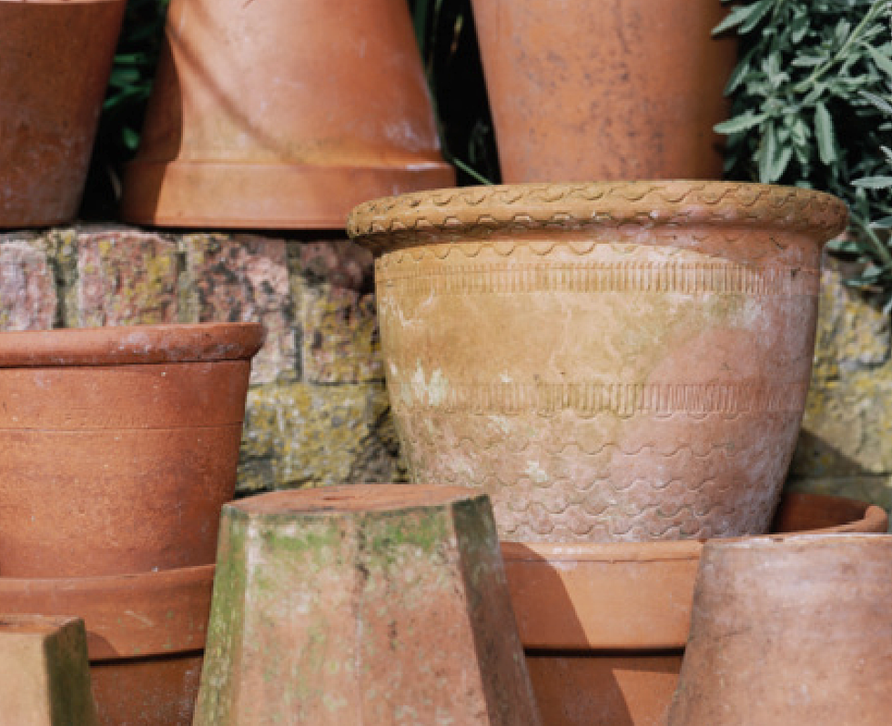 Terracotta Pots Used to Hide Record-Setting $500 Million Worth of Illegal Drugs