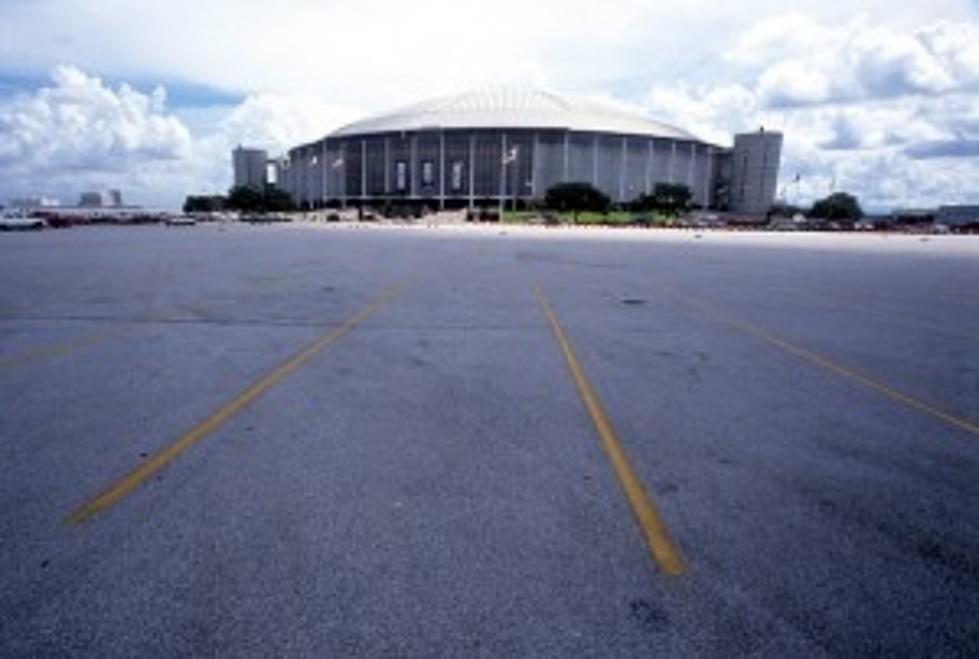 Texans Seek German Help In New Uses For Astrodome