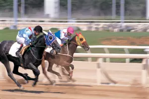 Equine Herpes-virus Shuts Down Race Track