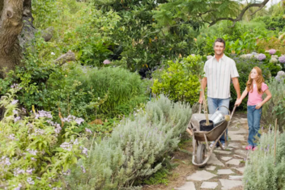 Texas A&M’s Annual Earth-Kind Landscape Design School Schedule