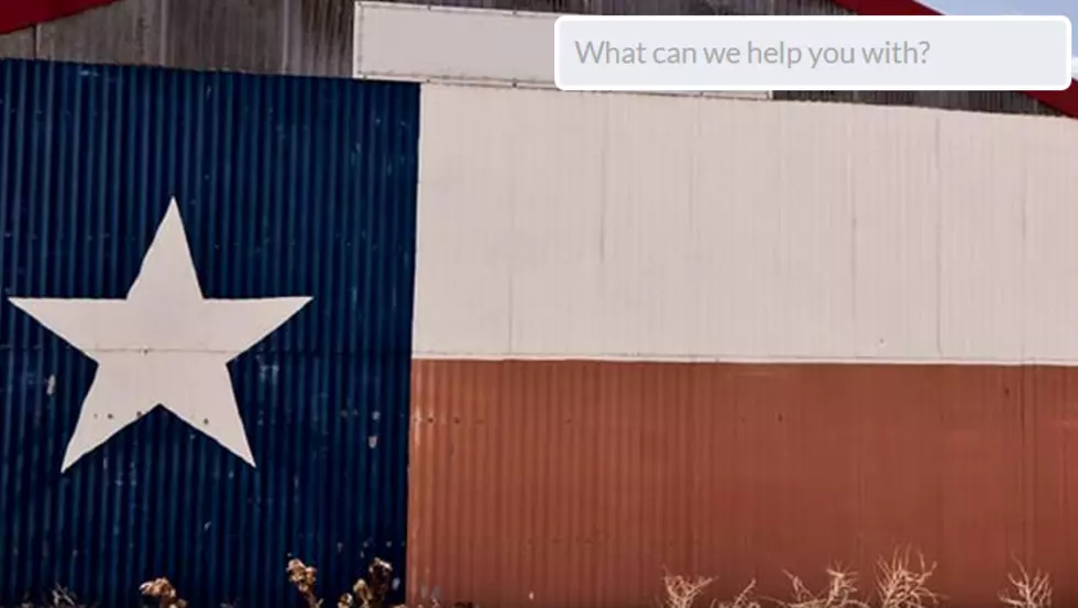 Official State of Texas Website Simplifies Access and Adds a Little Flair