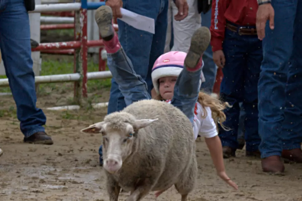 Mutton Bustin’ Explosion