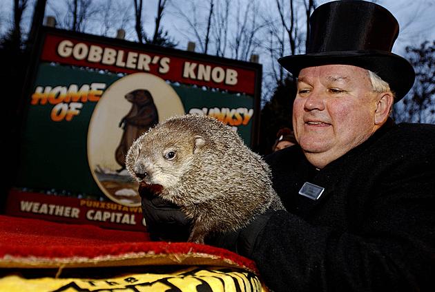 The Tradition Of &#8216;Groundhog Day&#8217; 130 Years Old