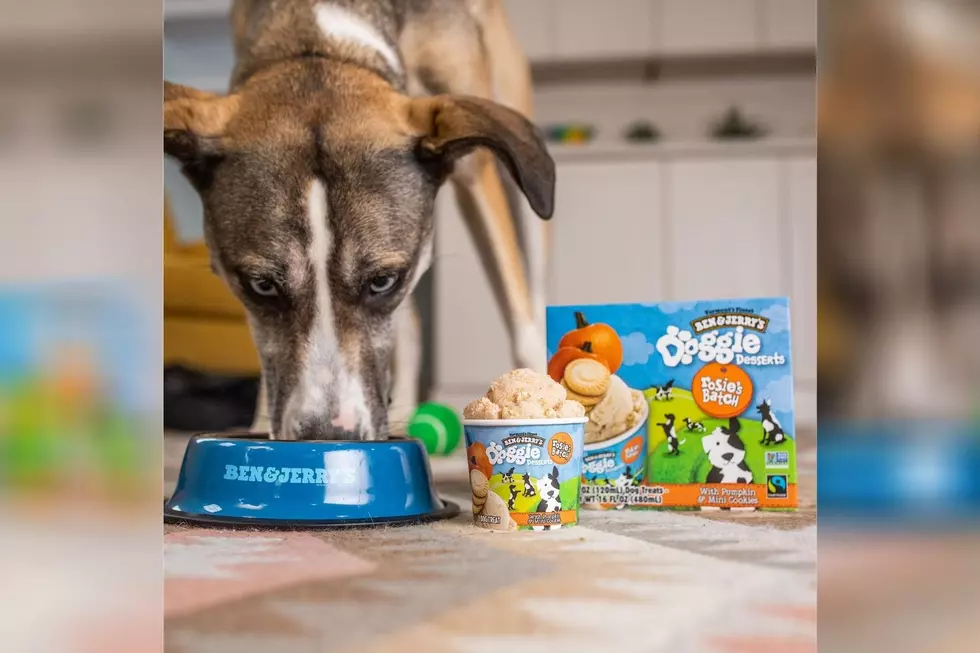 Ben &#038; Jerry&#8217;s Debuts Pet Friendly Treats