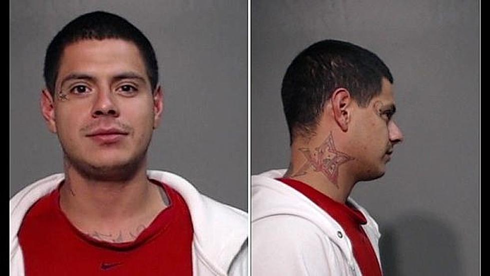 Texas Man Arrested After Punching and Stomping a Puppy