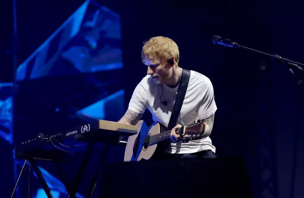Ed Sheeran and Martin Garrix crash wedding