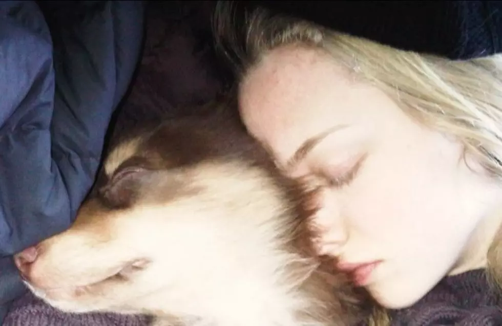 Amanda Seyfried’s beloved dog dies