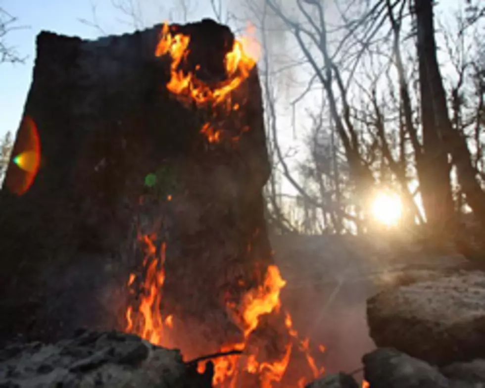 Prescribed Burn At Devil&#8217;s Backbone Open Space Today