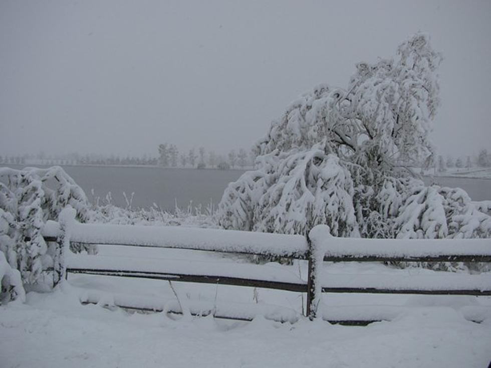 Share Your Photos of this October Snow With Us