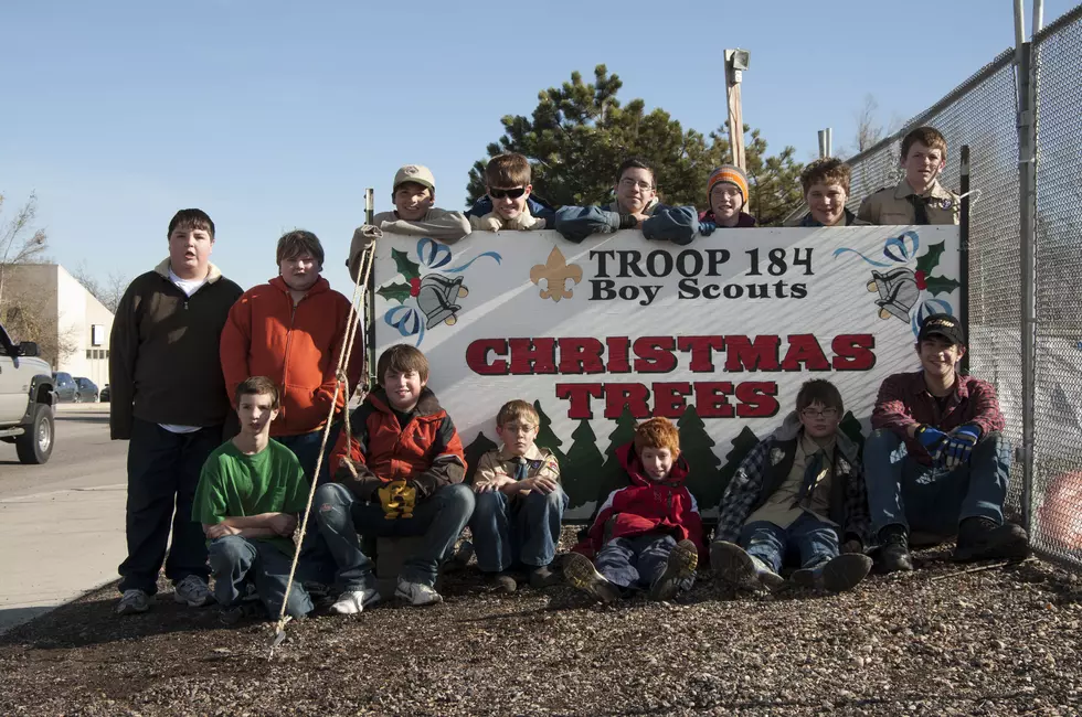 BSA Troop 184 – Christmas Tree Sales BACK in Loveland [GALLERY]