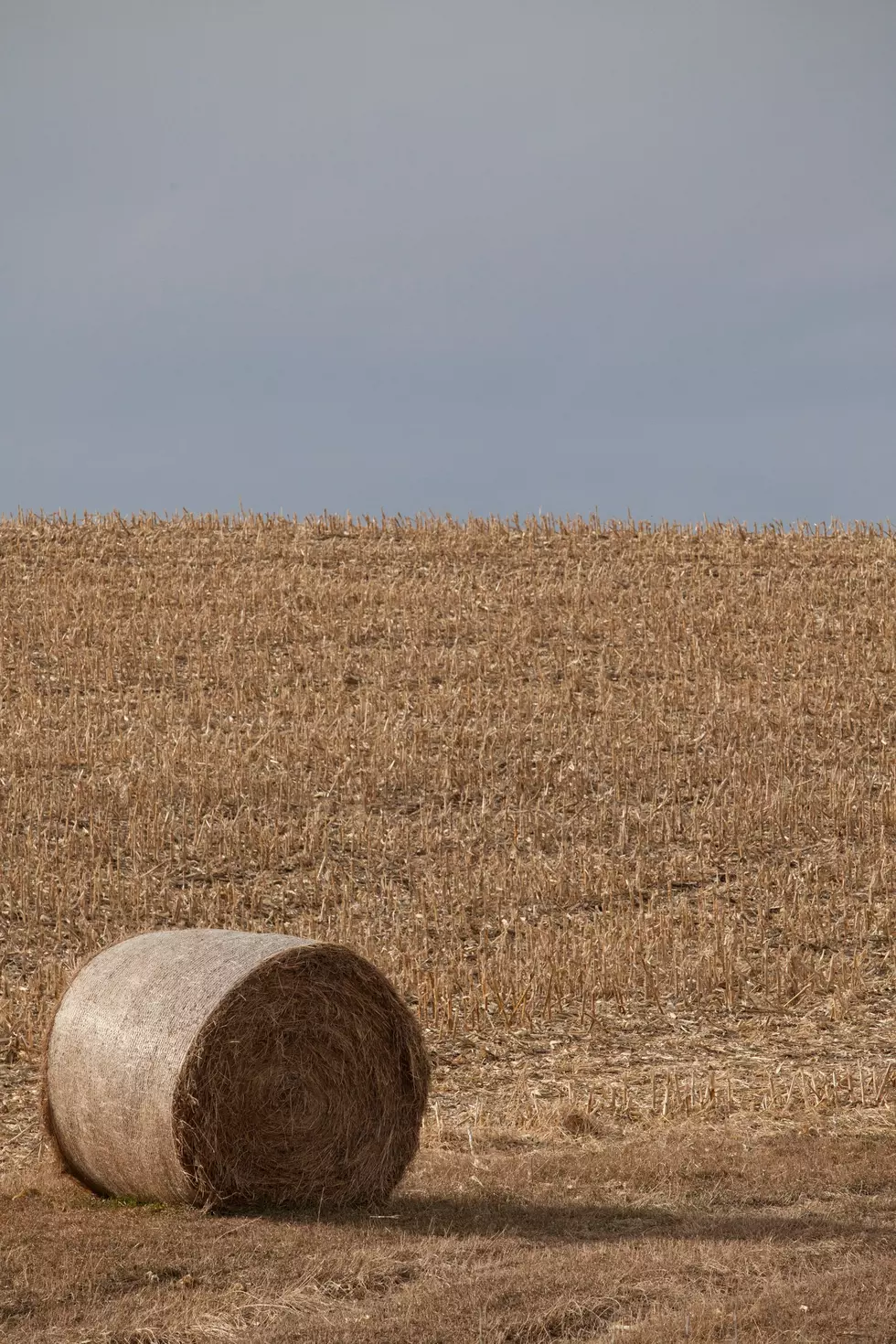 Colorado Farm Show Next Week – Harvesting Success