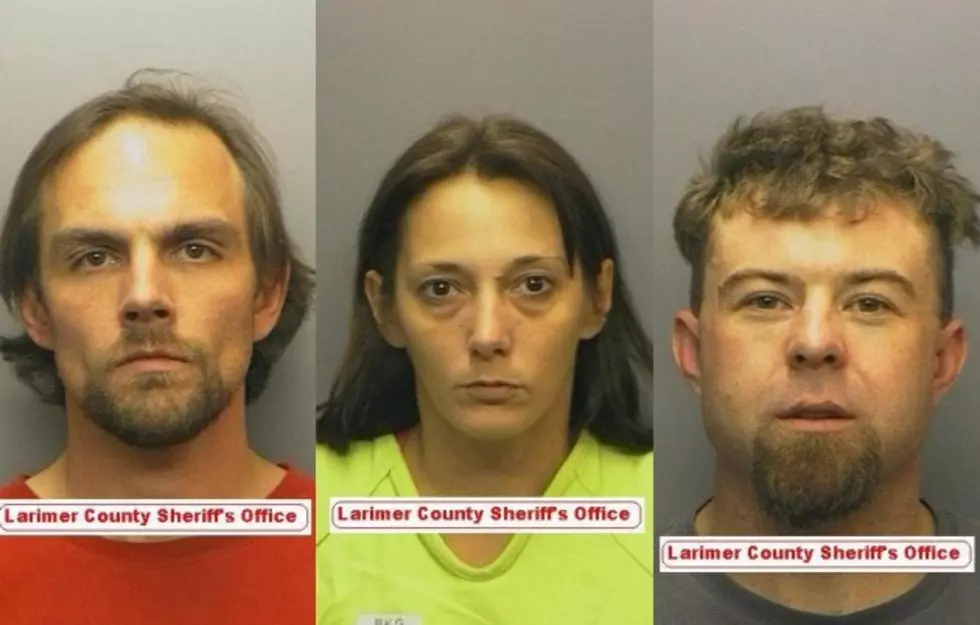 Have You Seen These Larimer County Suspects? Call Crime Stoppers! [PICTURES]