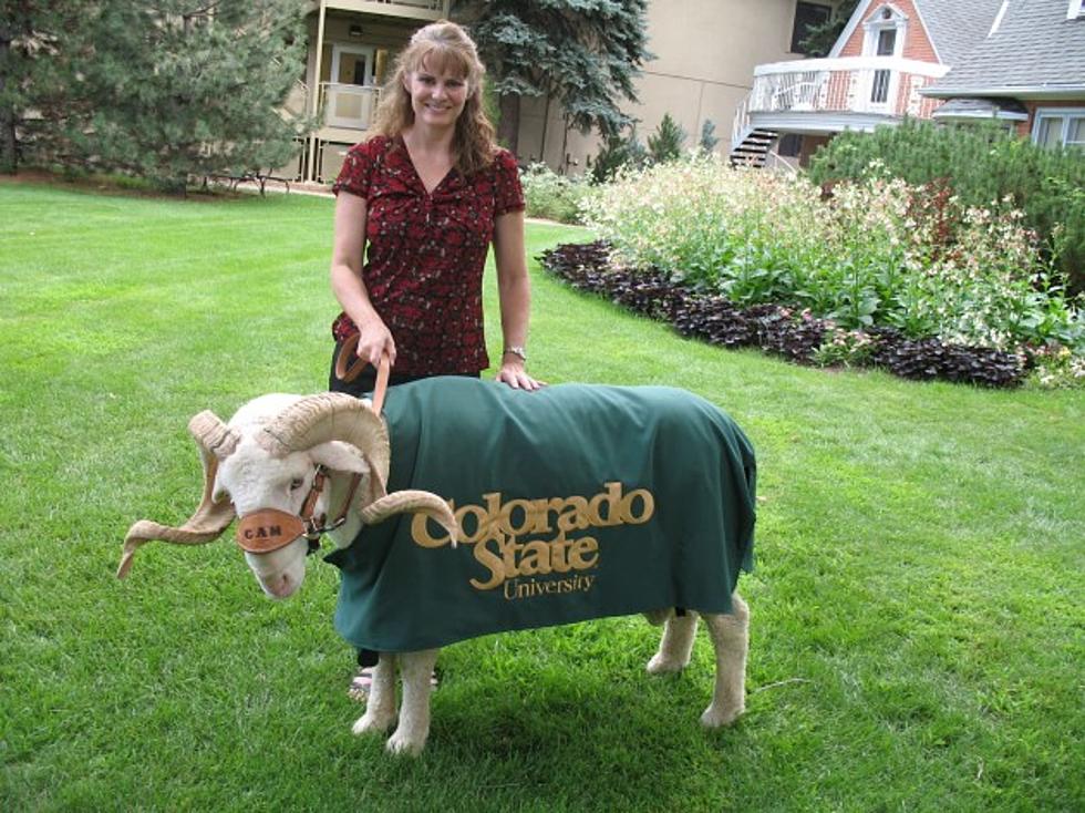 Todd Harding&#8217;s Wife Jenny Makes Jacket For CSU Mascot CAM The Ram