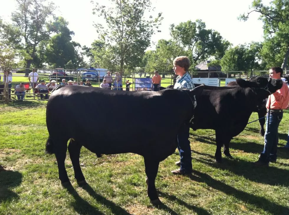 Todd Harding at Weld County Fair Today