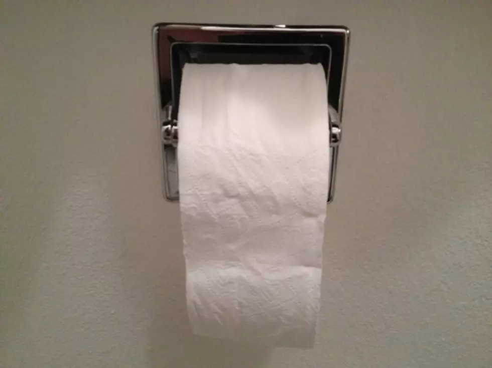 Toilet Paper &#8211; Over or Under? [POLL]
