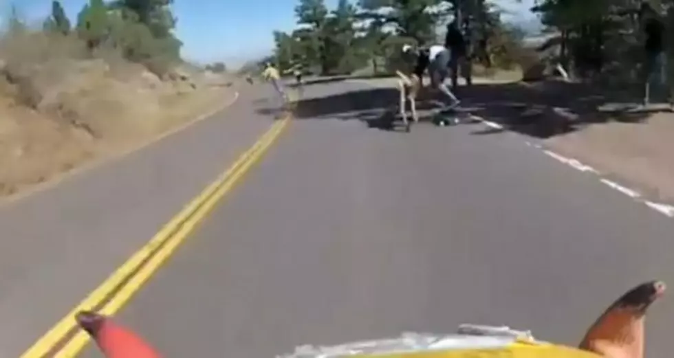 Skateboarder Hits Deer in Colorado Race [VIDEO]