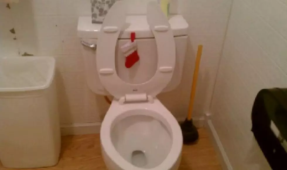 Is The Toilet Santa&#8217;s Little Helper?
