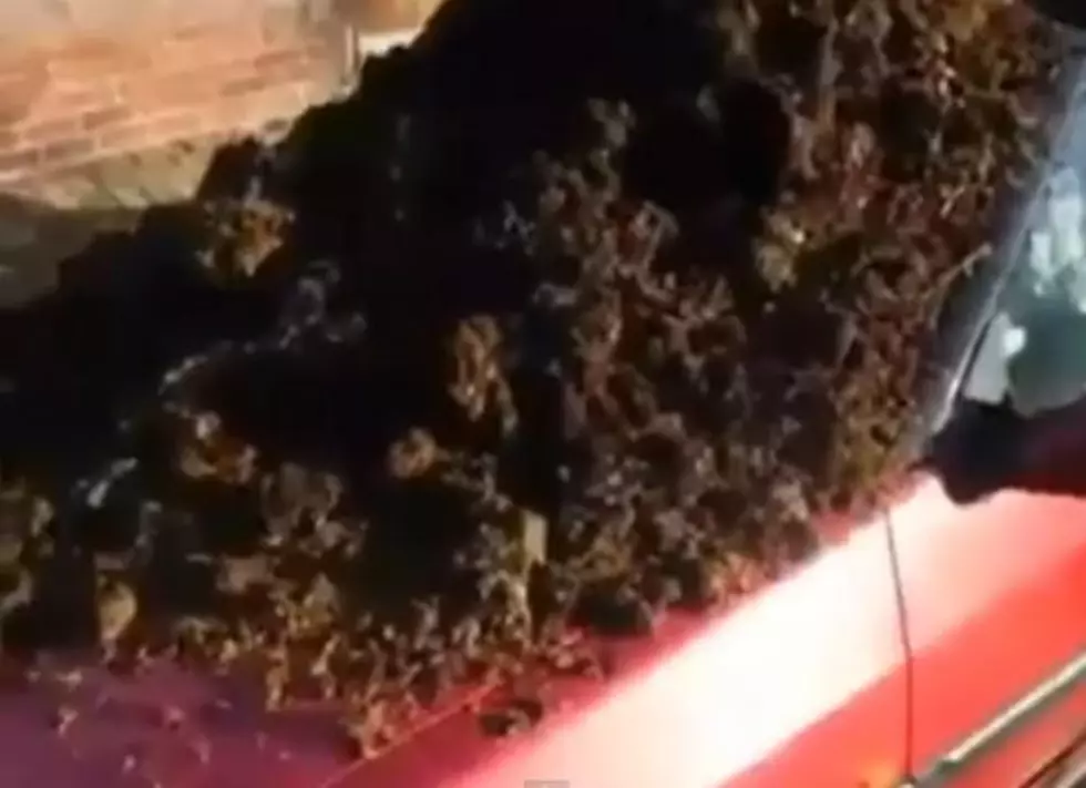 Angry Husband Dumps Manure On Wife&#8217;s Car [VIDEO]