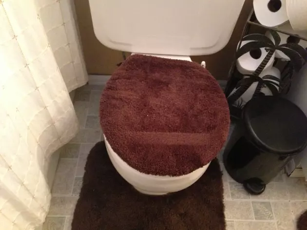 The Toilet Toupee is One of the Great Mysteries of Married Life &#8211; Brian&#8217;s Blog