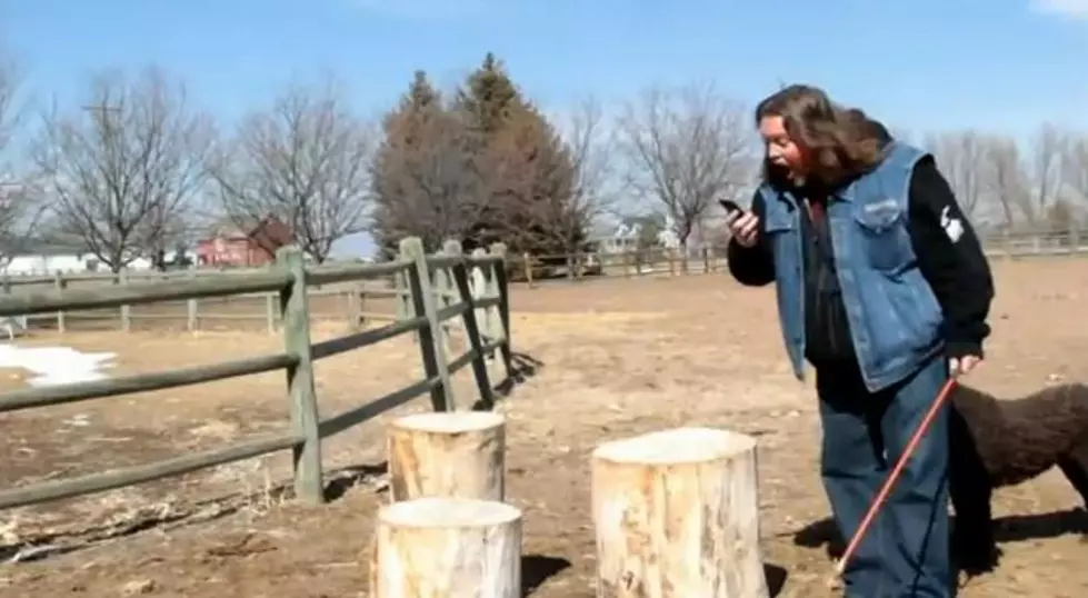 Brian&#8217;s Cell Phone Destruction Part 1:Taking It Behind The Woodshed [VIDEO]