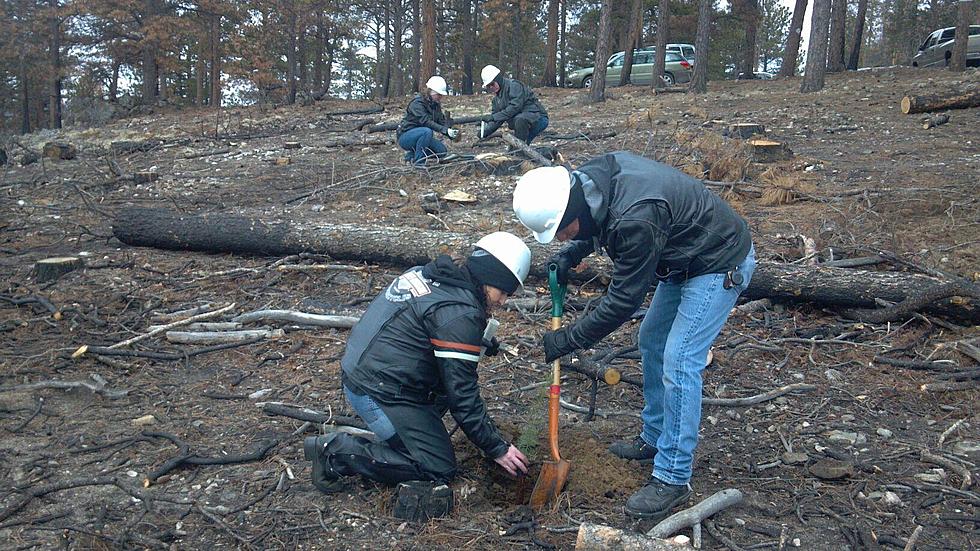 Sleigh Riders BOD Attend CSU Forestry Service Orientation For High Park Fire Replant