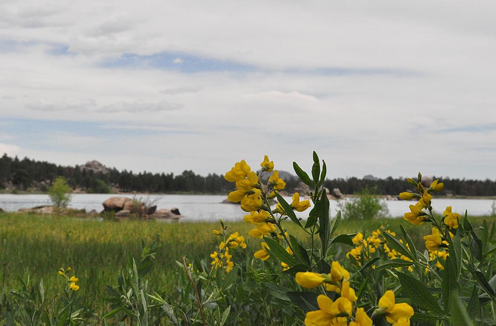 Camping at Red Feather’s Dowdy Lake in The Roosevelt National Forest [PICTURES]