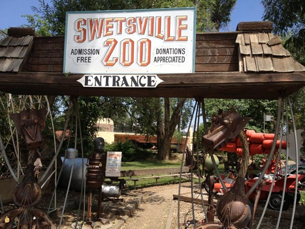 Northern Colorado&#8217;s Favorite Zoo &#8211; Swetsville Zoo in Fort Collins [PICTURES]